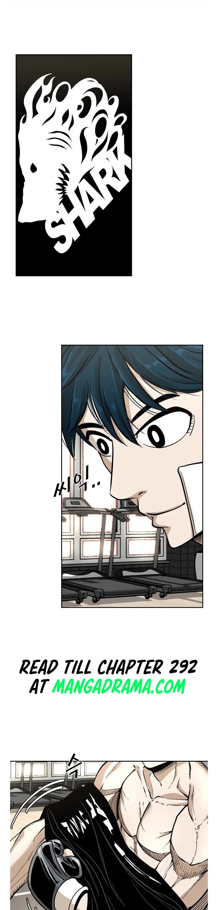 Read Shark EN Manga Online