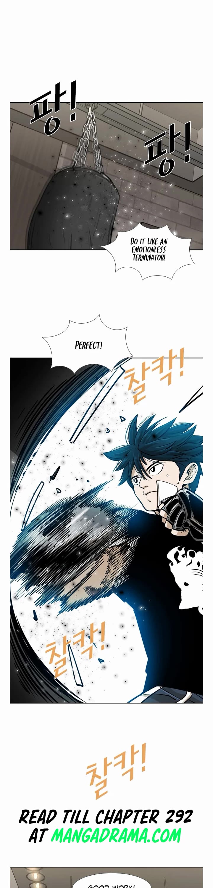 Read Shark EN Manga Online