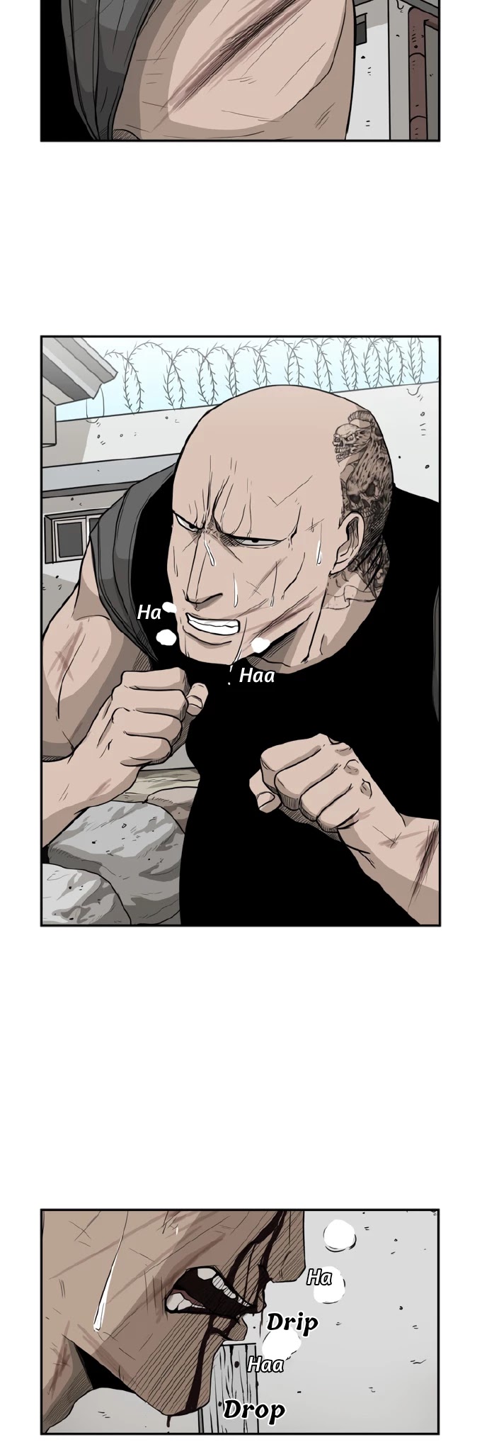 Read Shark EN Manga Online