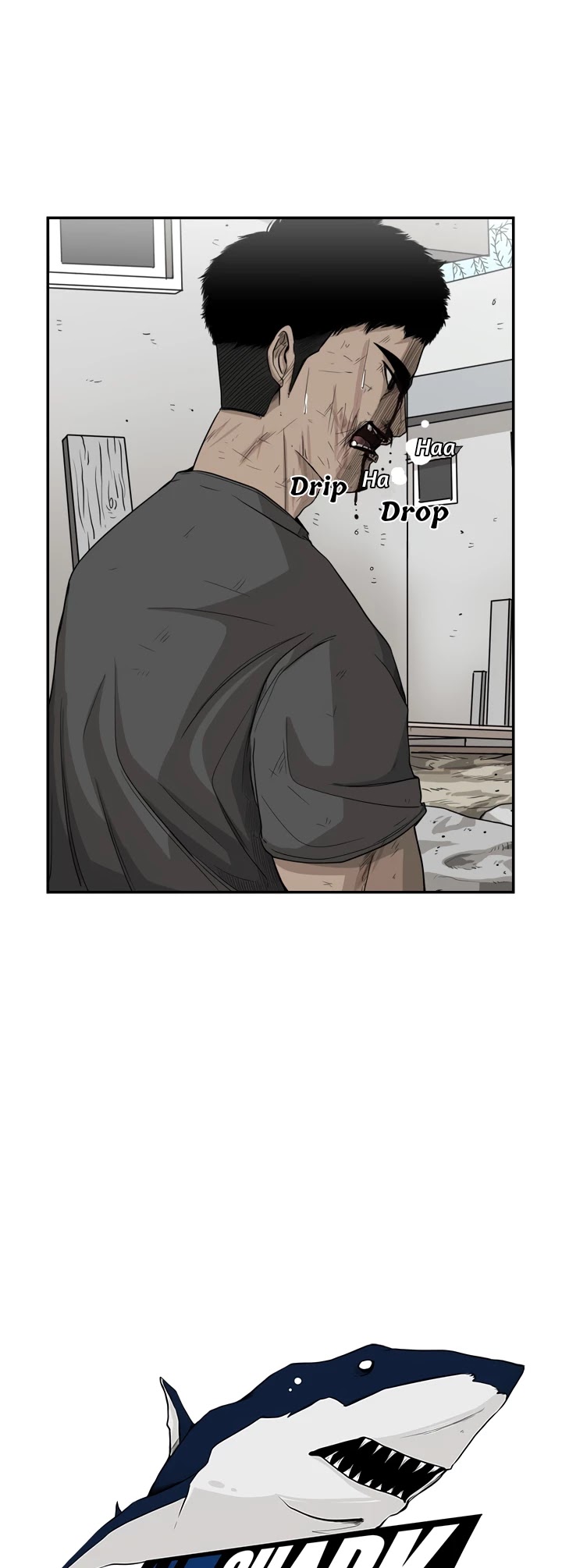 Read Shark EN Manga Online