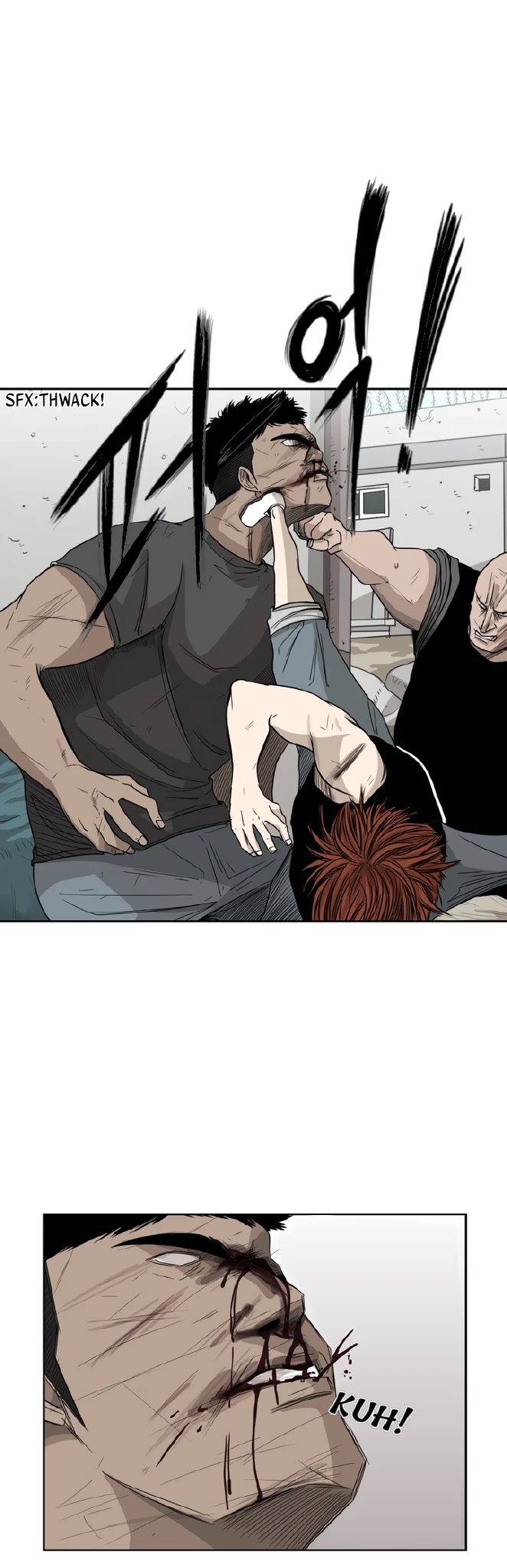 Read Shark EN Manga Online