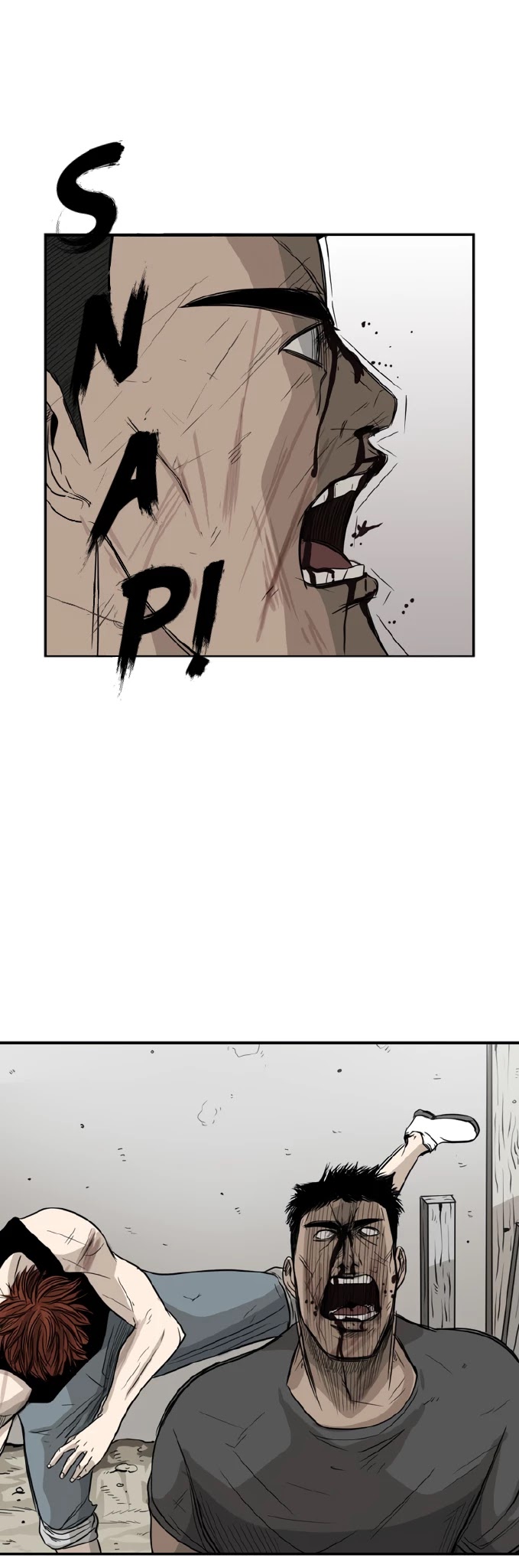 Read Shark EN Manga Online