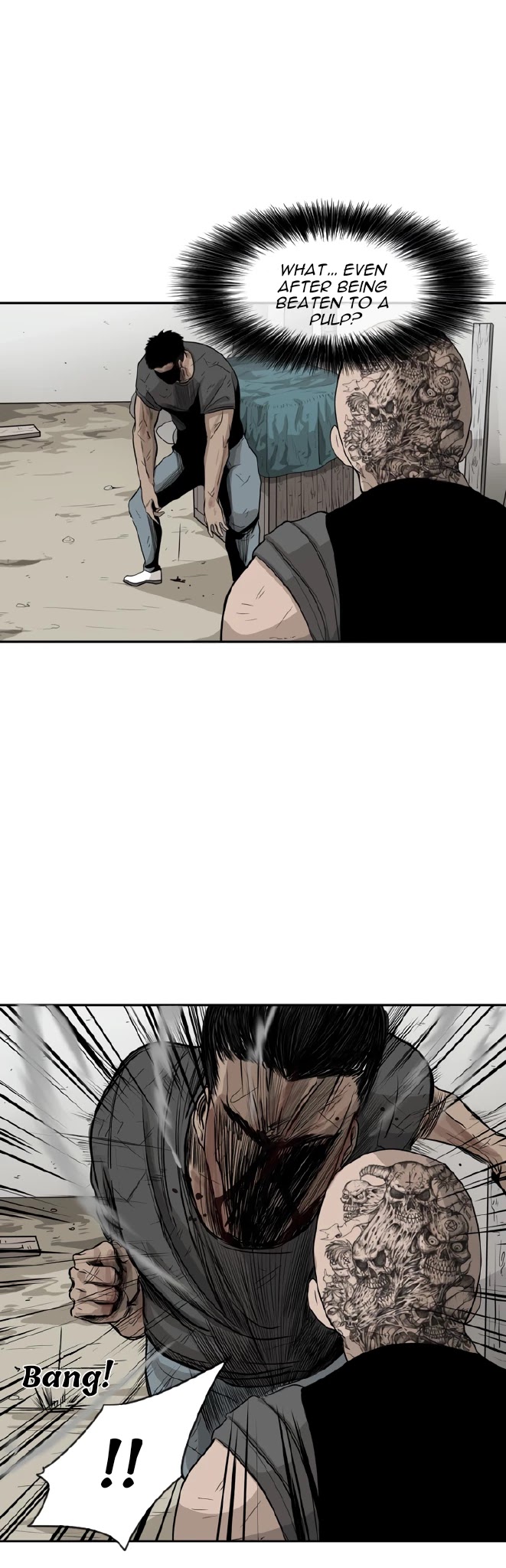 Read Shark EN Manga Online