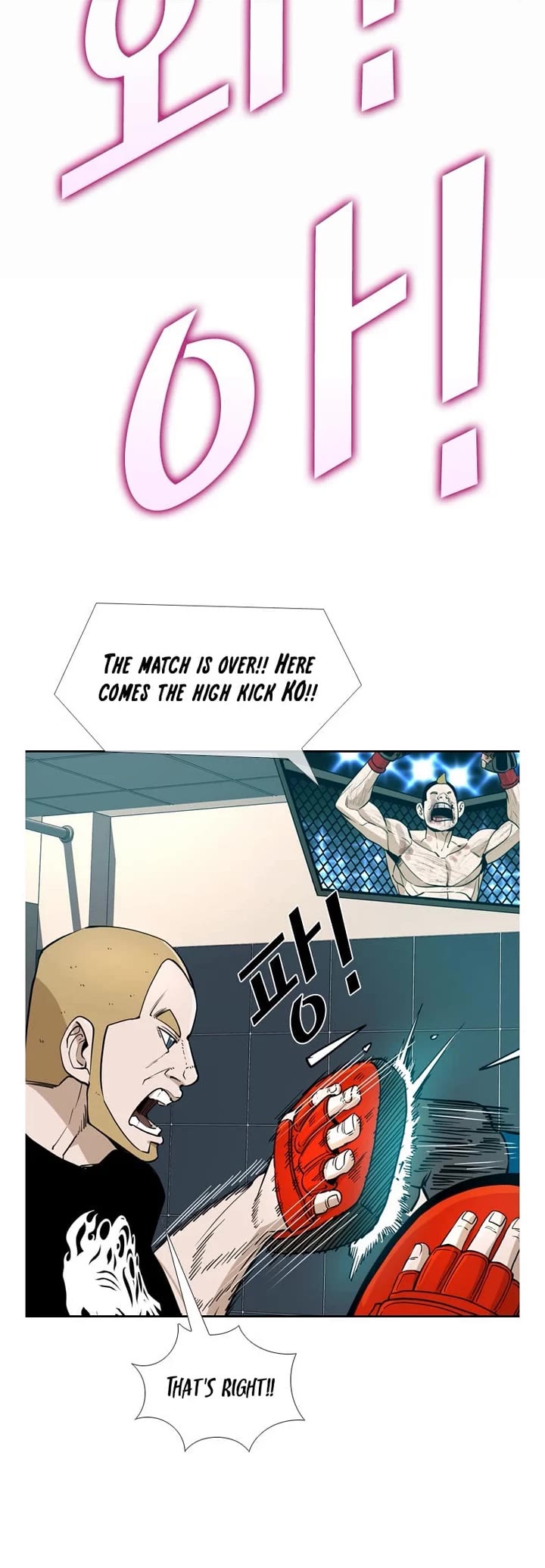 Read Shark EN Manga Online