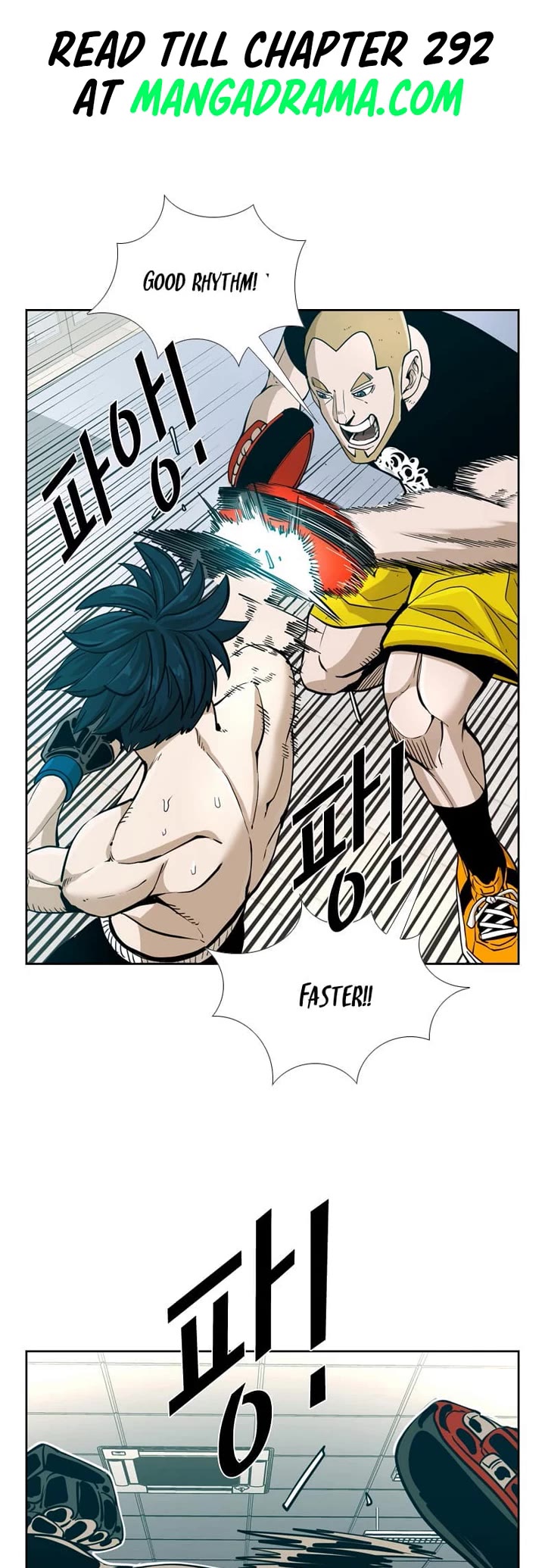 Read Shark EN Manga Online