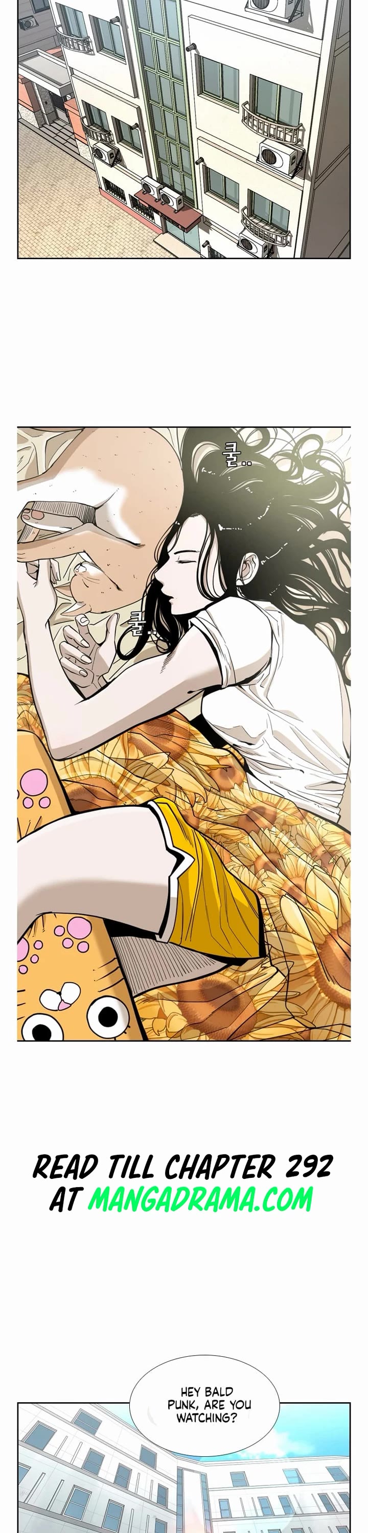 Read Shark EN Manga Online