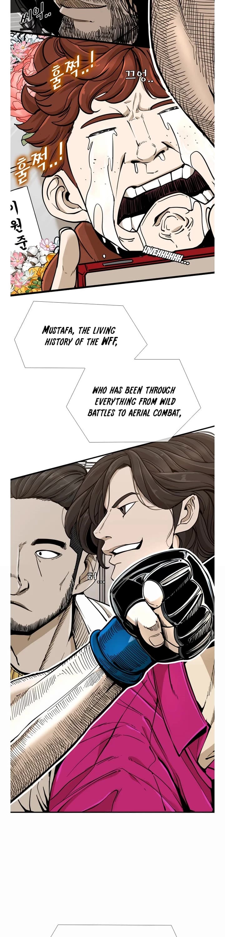 Read Shark EN Manga Online