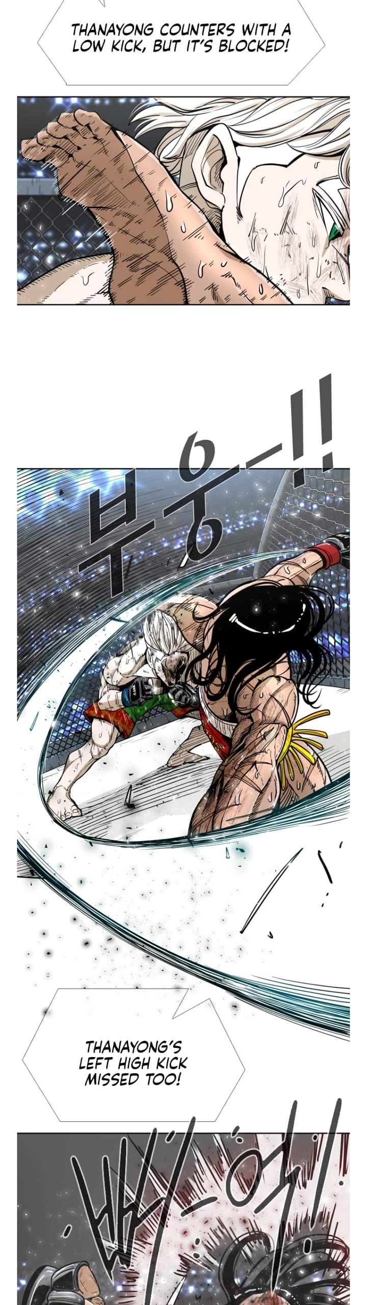 Read Shark EN Manga Online