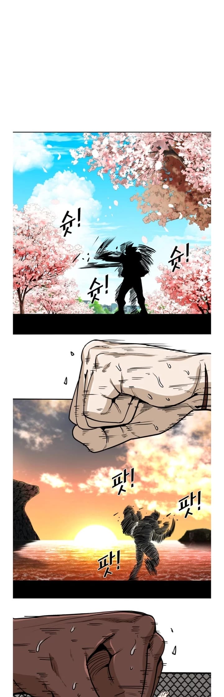 Read Shark EN Manga Online