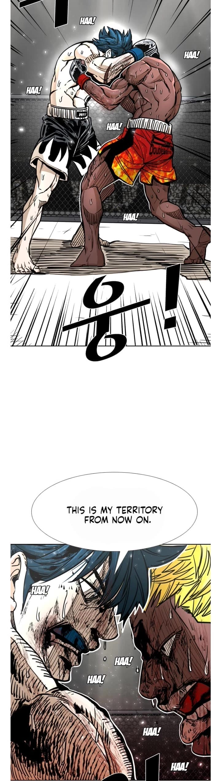 Read Shark EN Manga Online