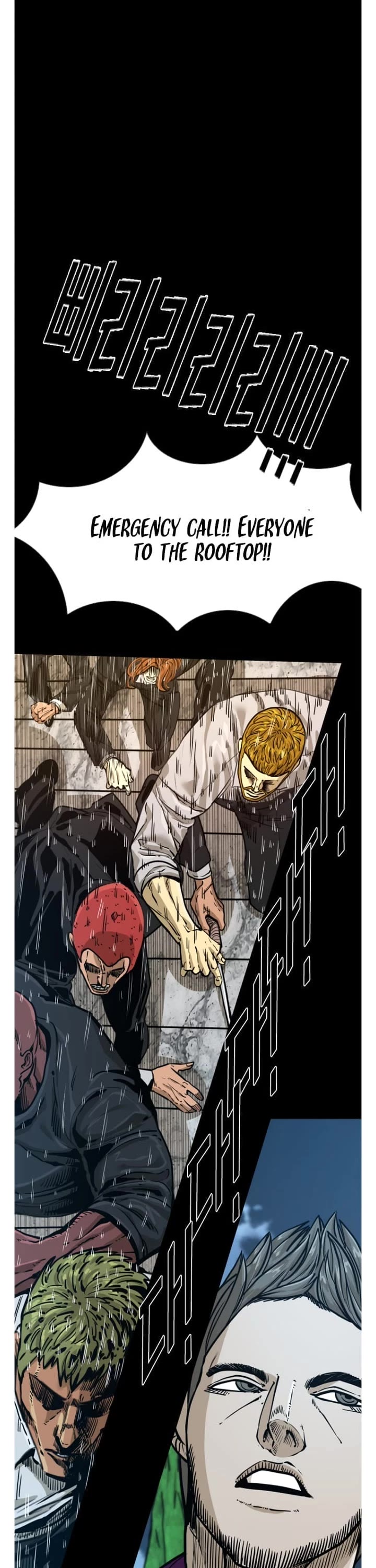 Read Shark EN Manga Online