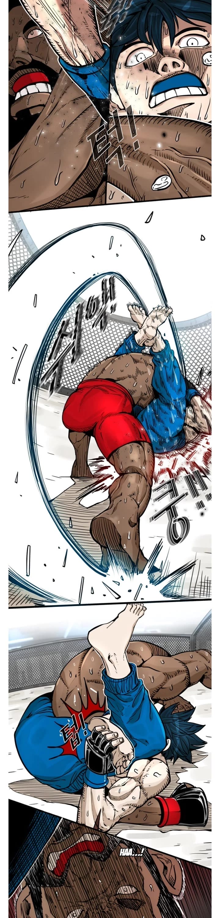 Read Shark EN Manga Online