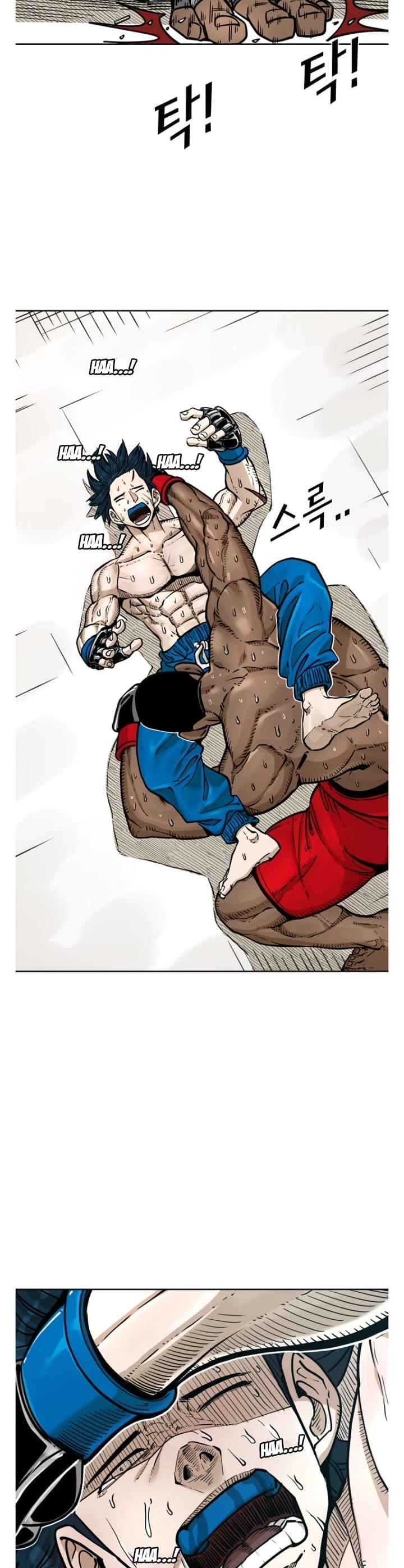 Read Shark EN Manga Online
