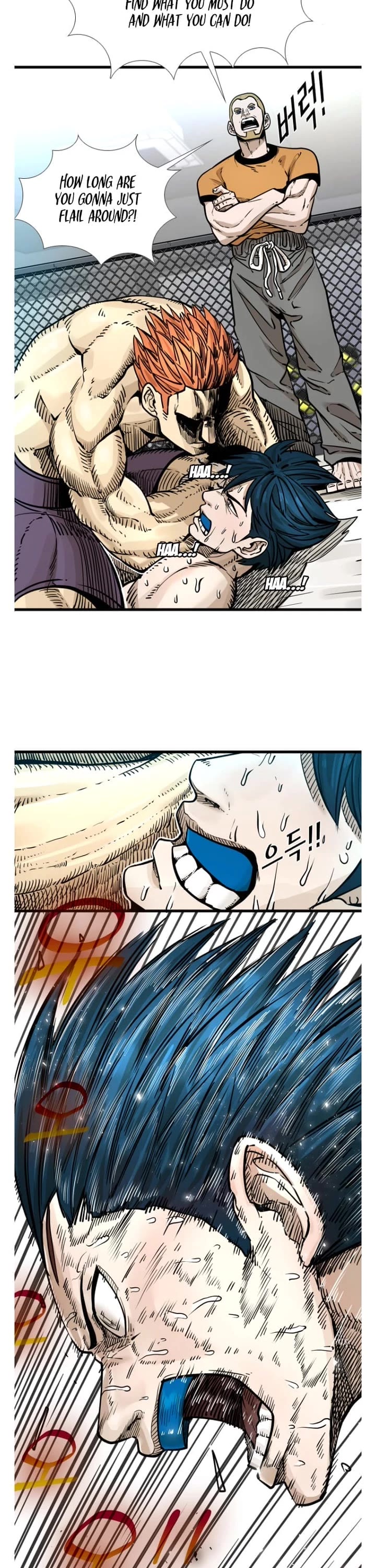 Read Shark EN Manga Online