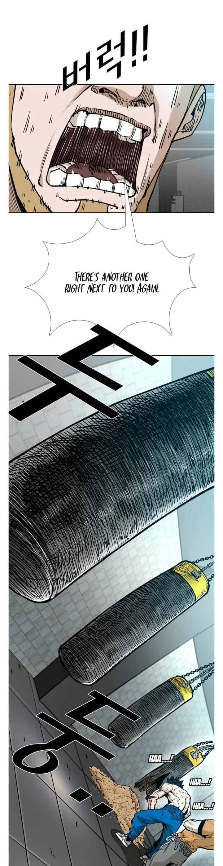 Read Shark EN Manga Online