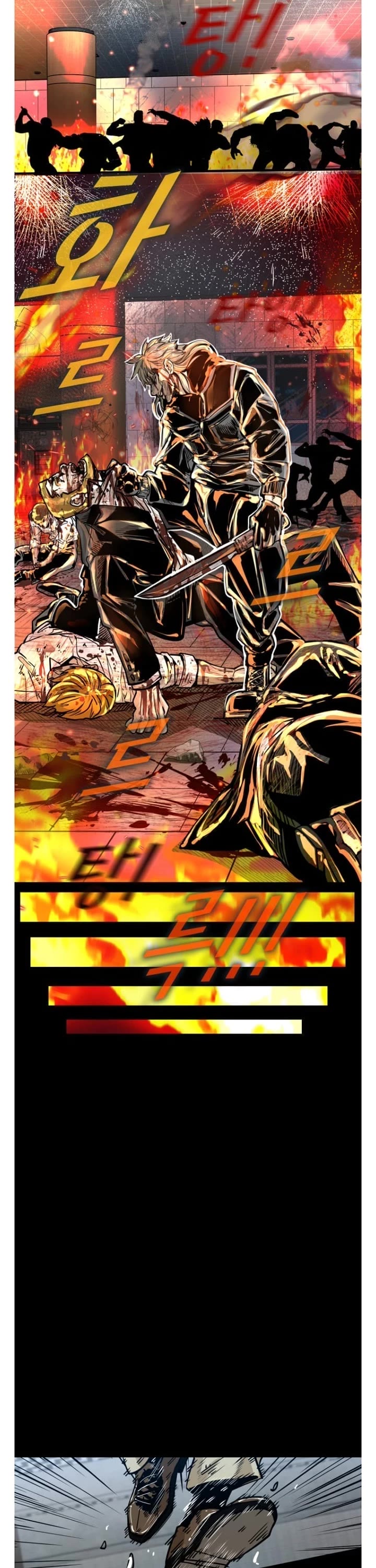 Read Shark EN Manga Online