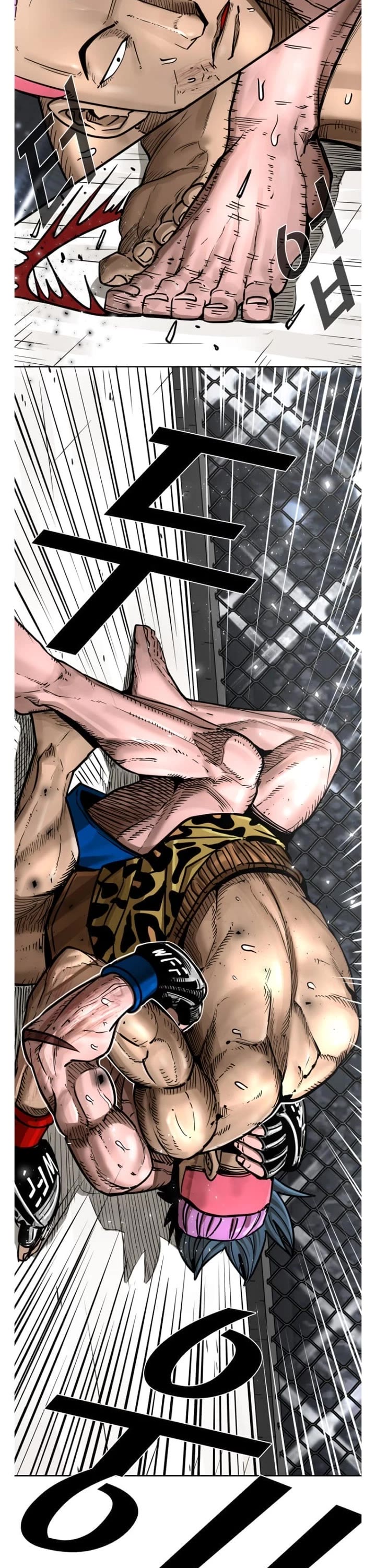 Read Shark EN Manga Online