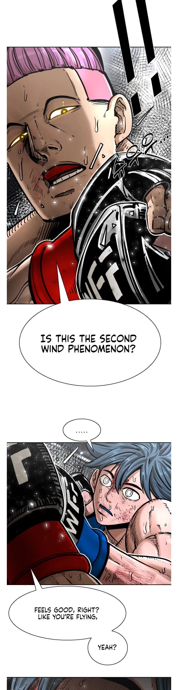 Read Shark EN Manga Online