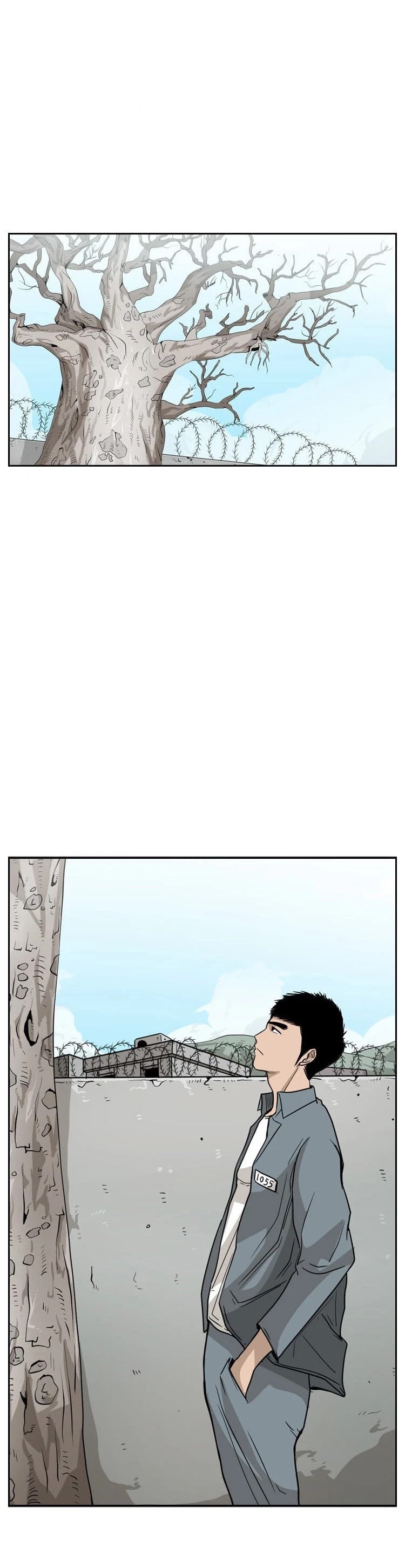 Read Shark EN Manga Online