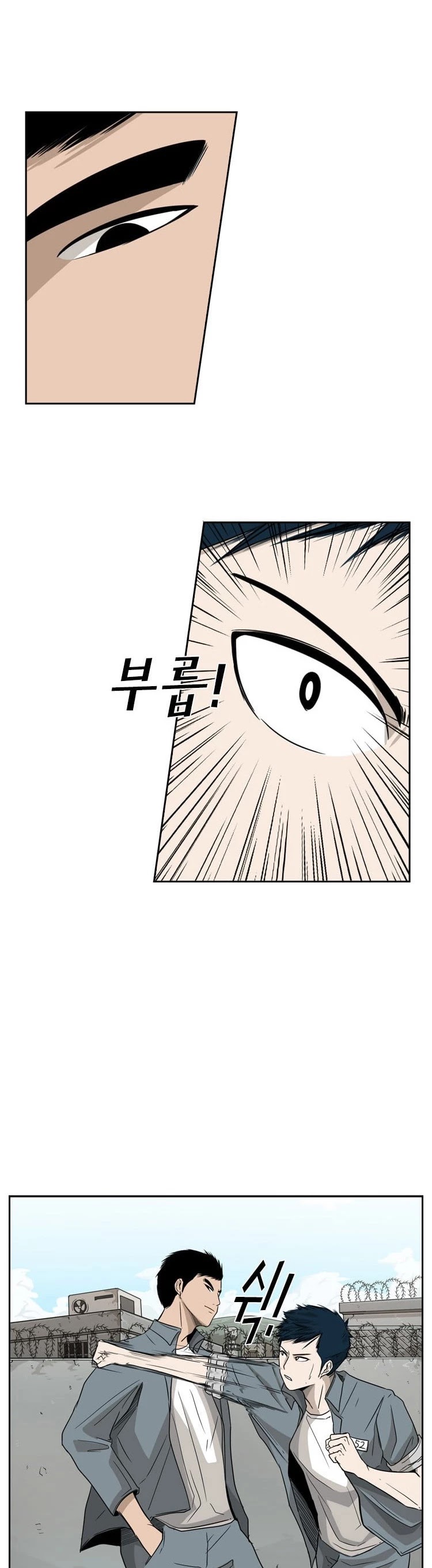 Read Shark EN Manga Online