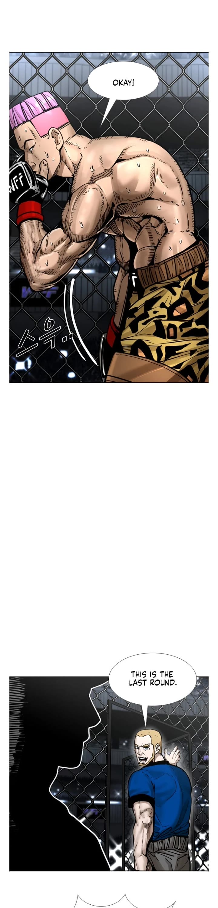 Read Shark EN Manga Online