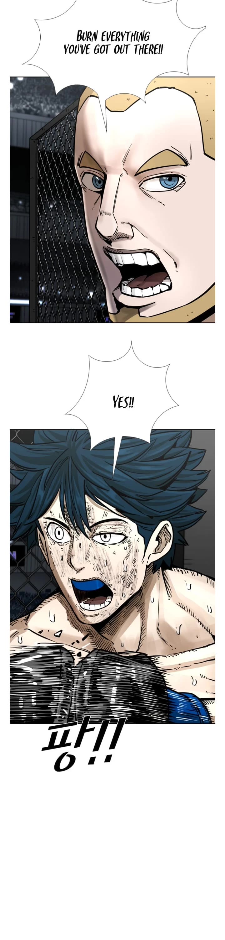 Read Shark EN Manga Online