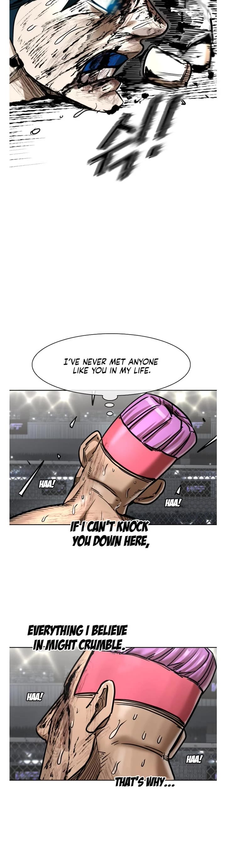 Read Shark EN Manga Online