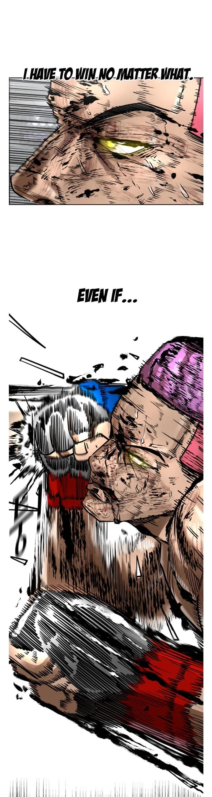 Read Shark EN Manga Online