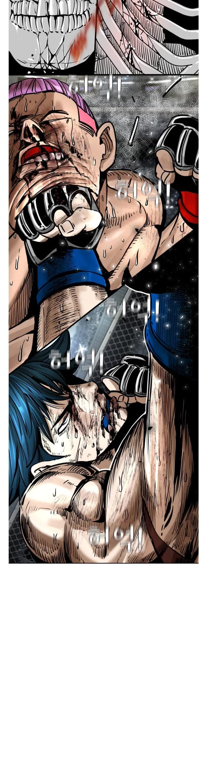 Read Shark EN Manga Online