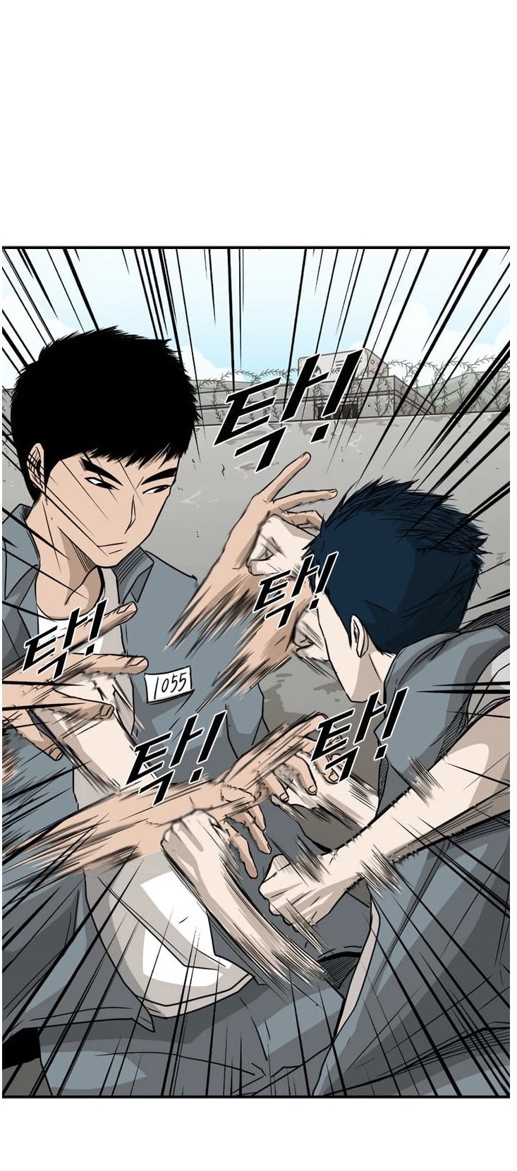 Read Shark EN Manga Online