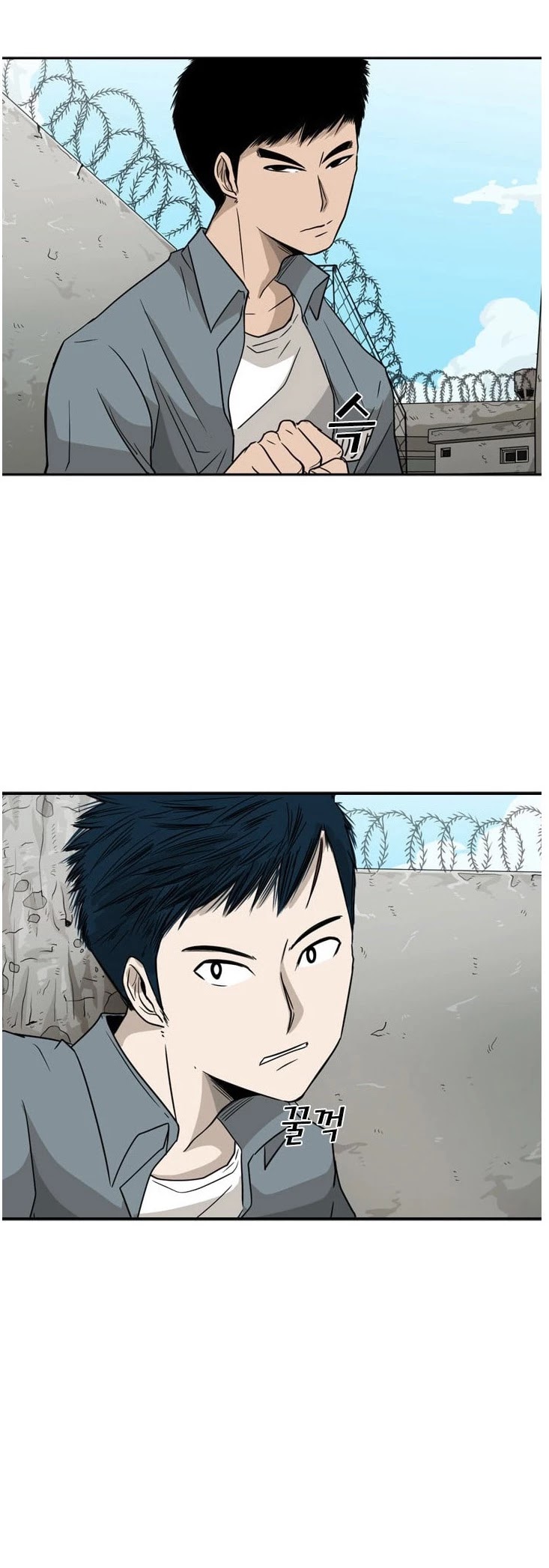 Read Shark EN Manga Online