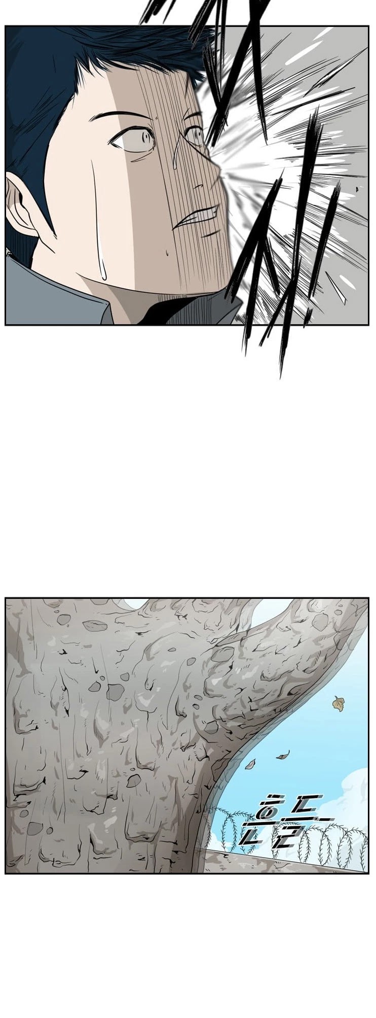 Read Shark EN Manga Online