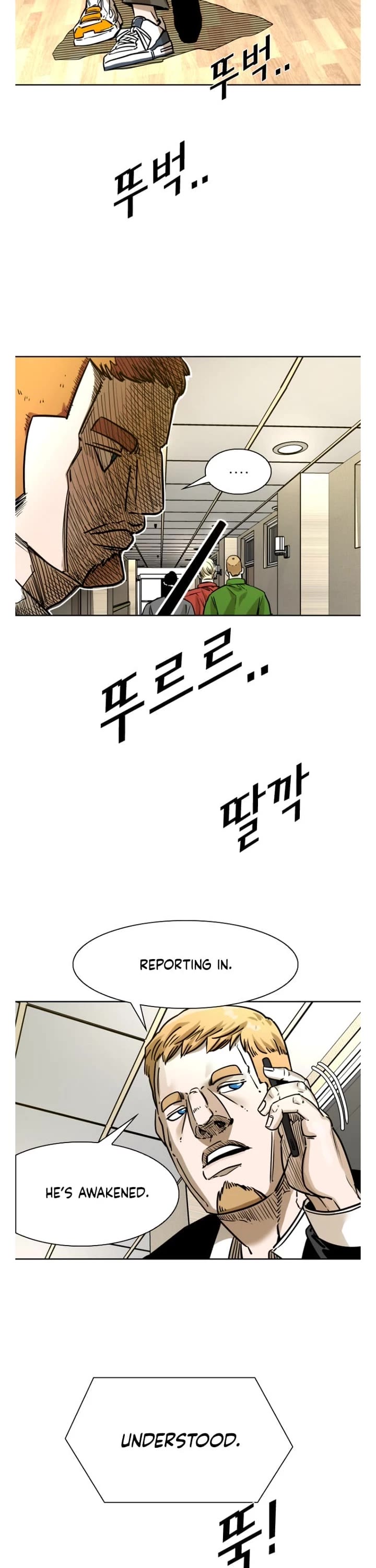 Read Shark EN Manga Online