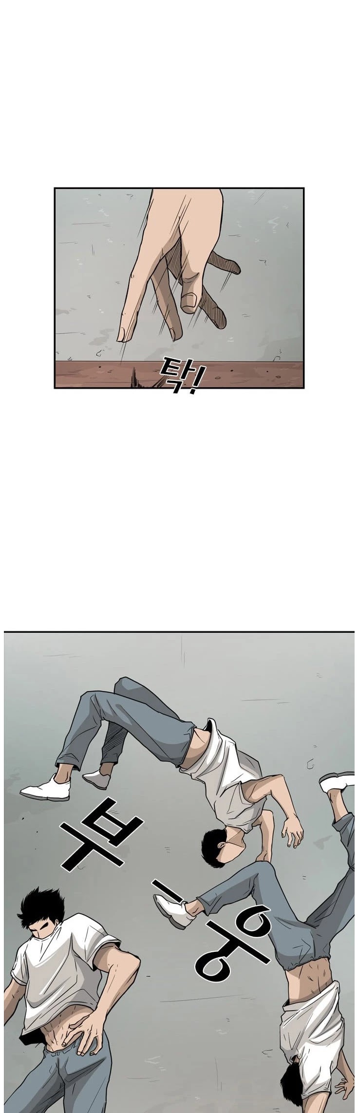 Read Shark EN Manga Online