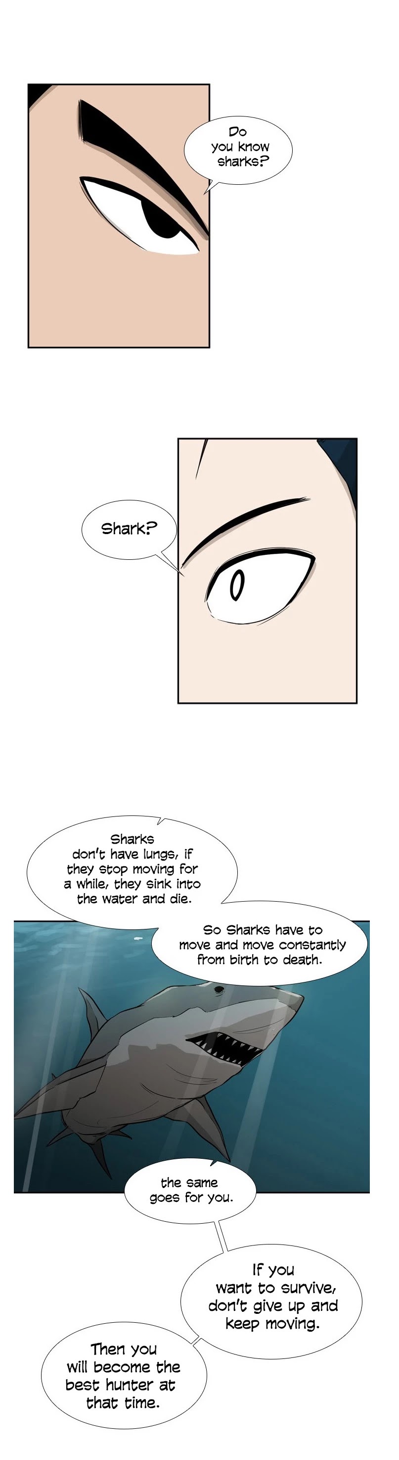 Read Shark EN Manga Online