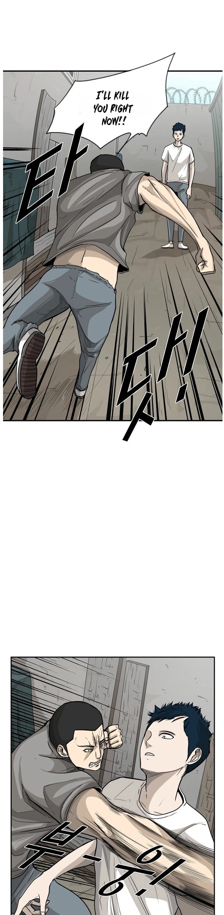 Read Shark EN Manga Online
