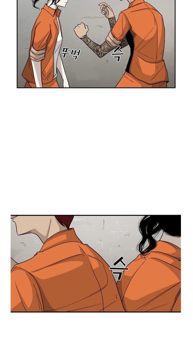 Read Shark EN Manga Online
