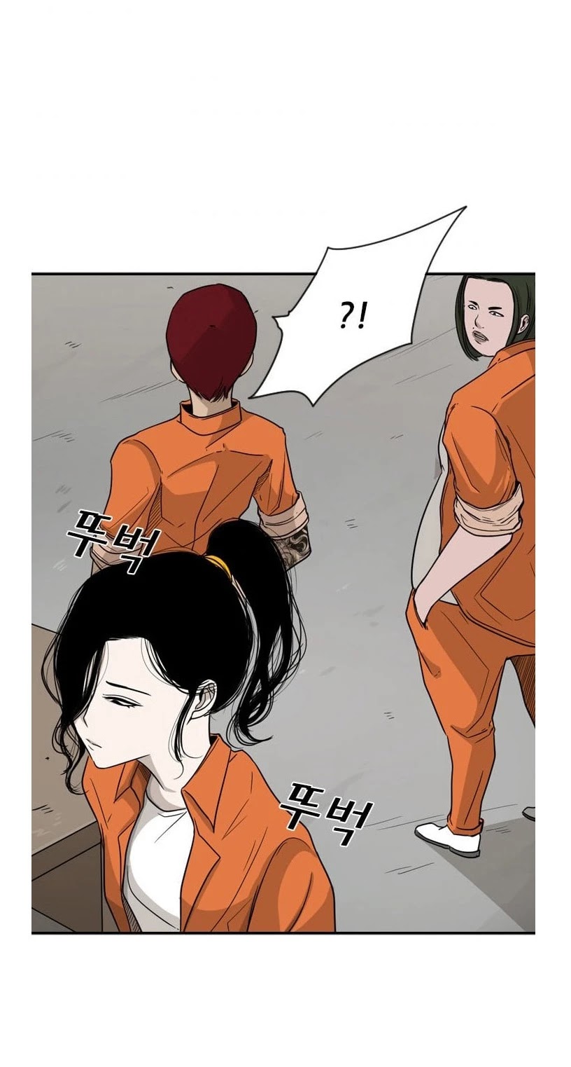 Read Shark EN Manga Online