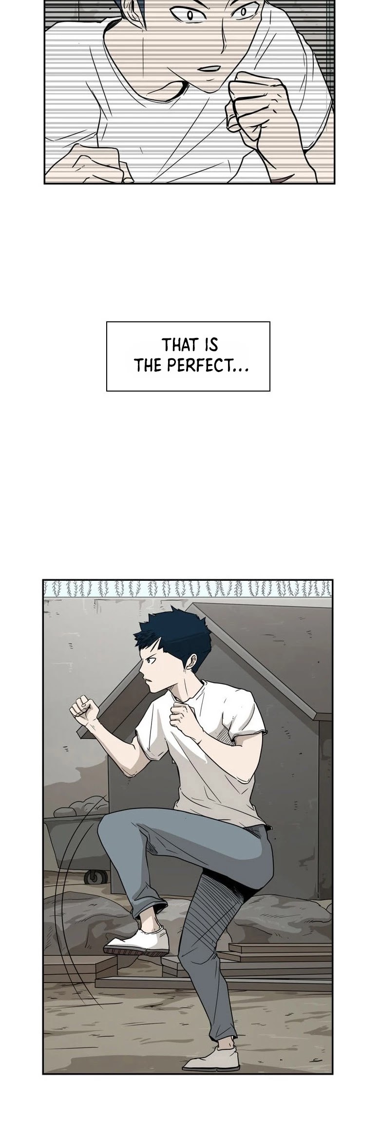 Read Shark EN Manga Online