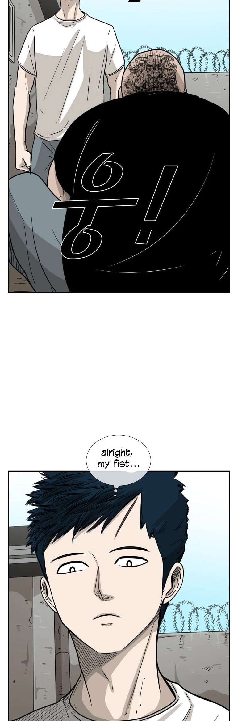 Read Shark EN Manga Online