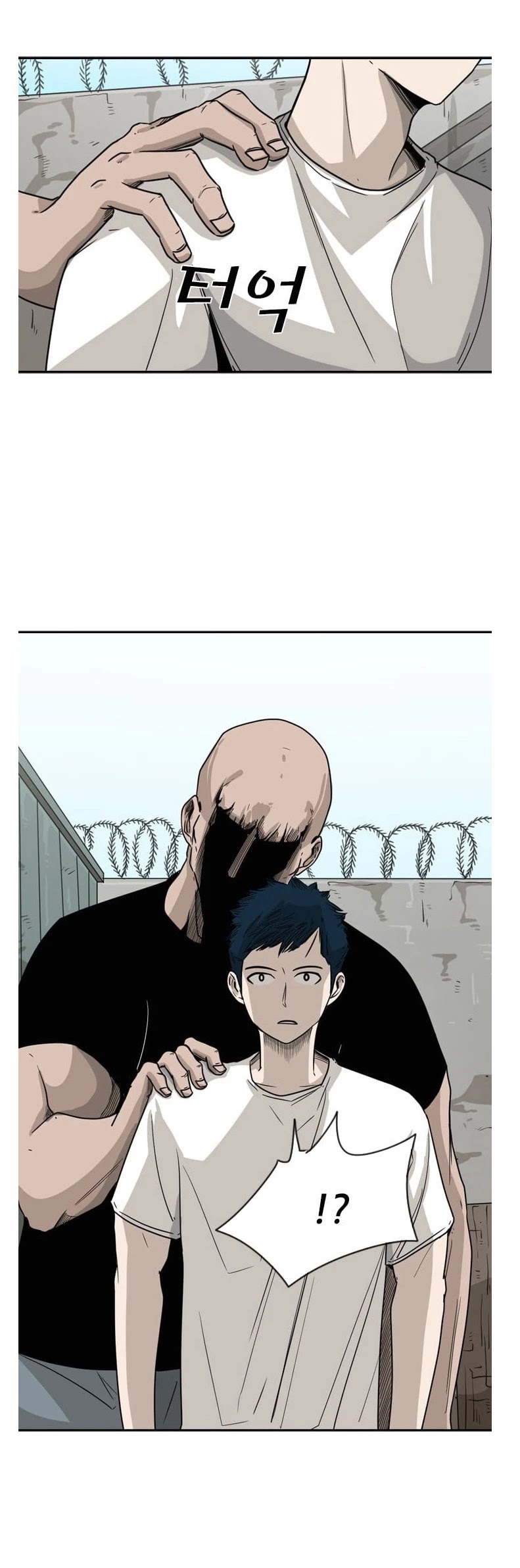 Read Shark EN Manga Online
