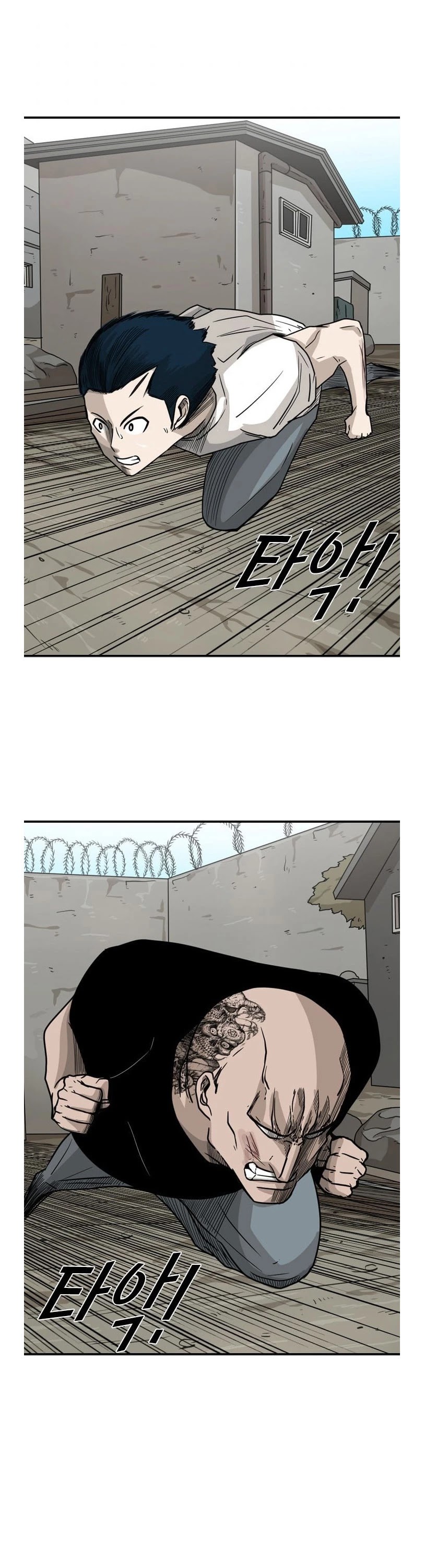 Read Shark EN Manga Online