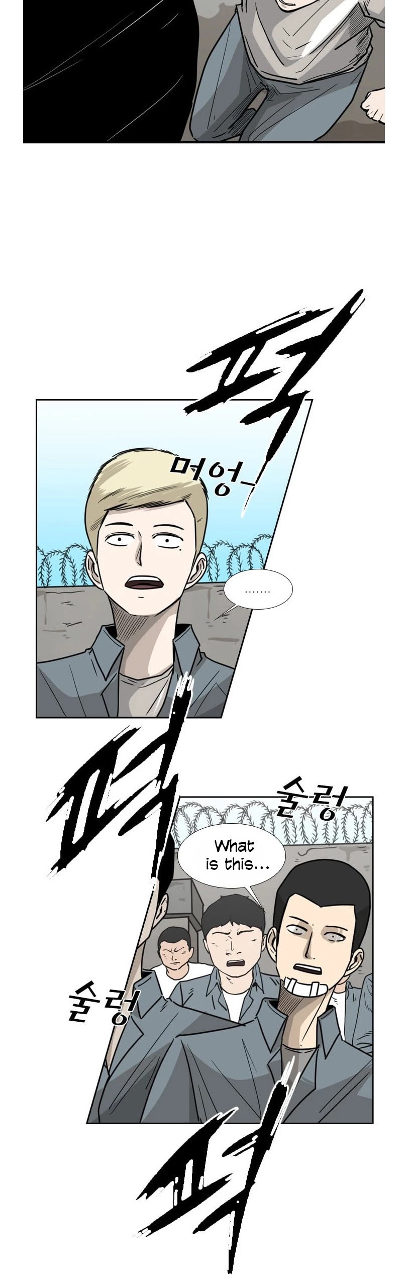 Read Shark EN Manga Online