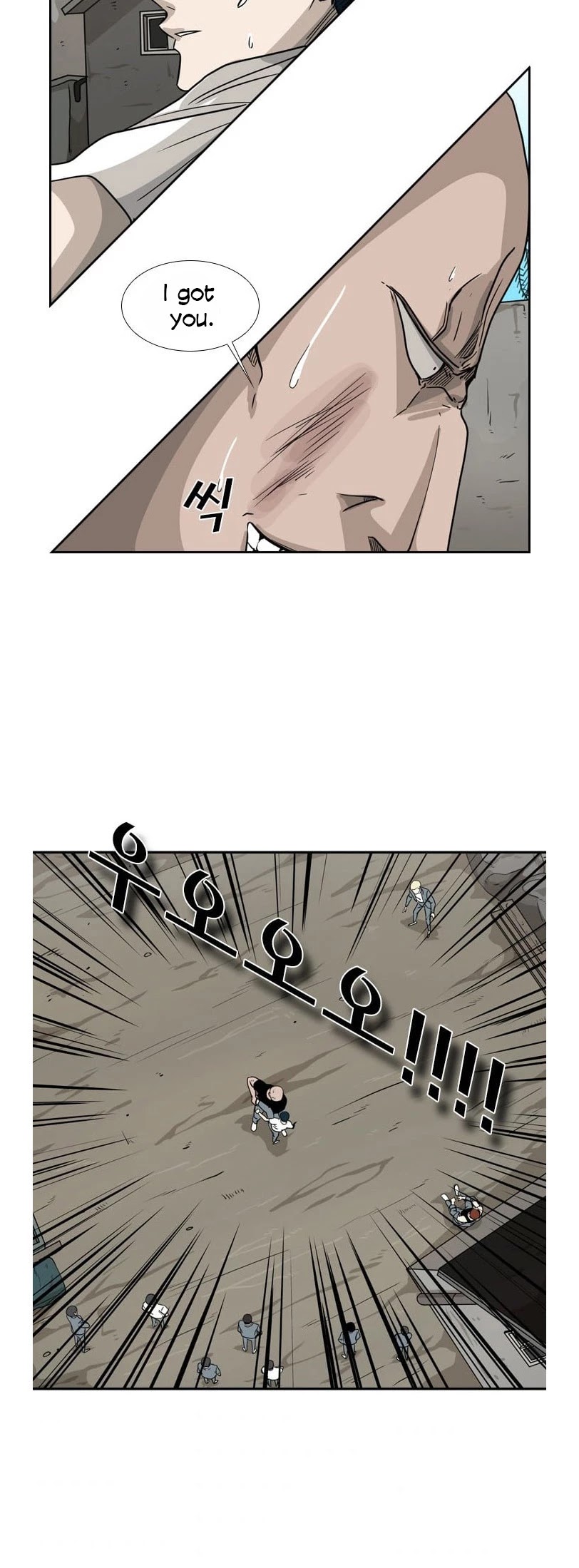 Read Shark EN Manga Online