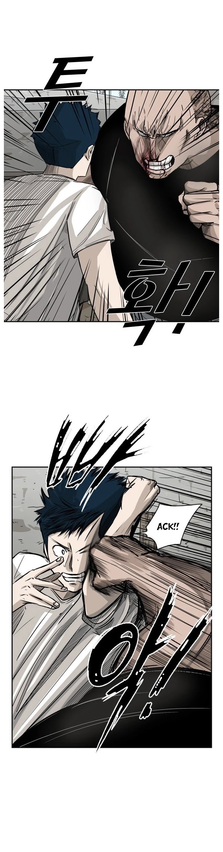 Read Shark EN Manga Online