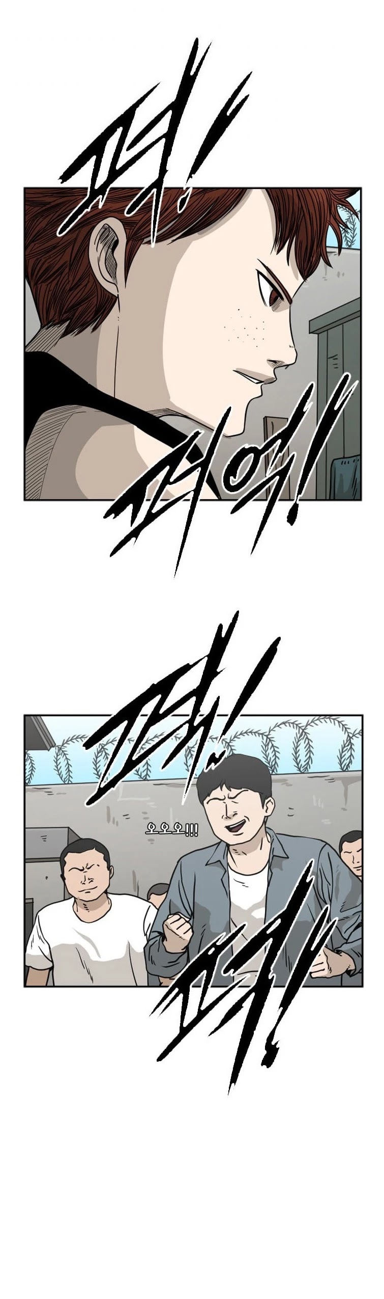 Read Shark EN Manga Online