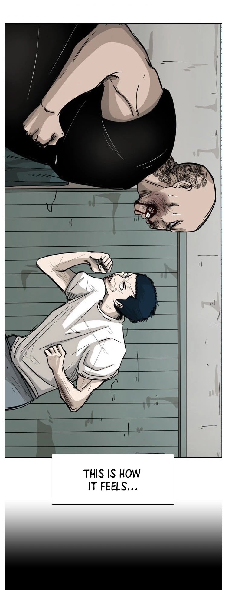 Read Shark EN Manga Online