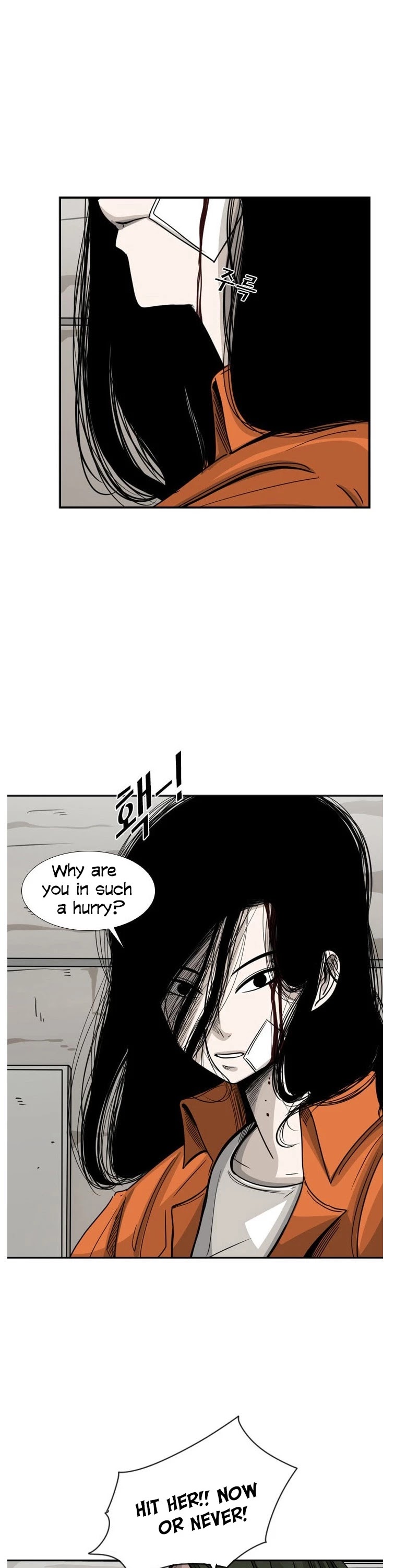 Read Shark EN Manga Online