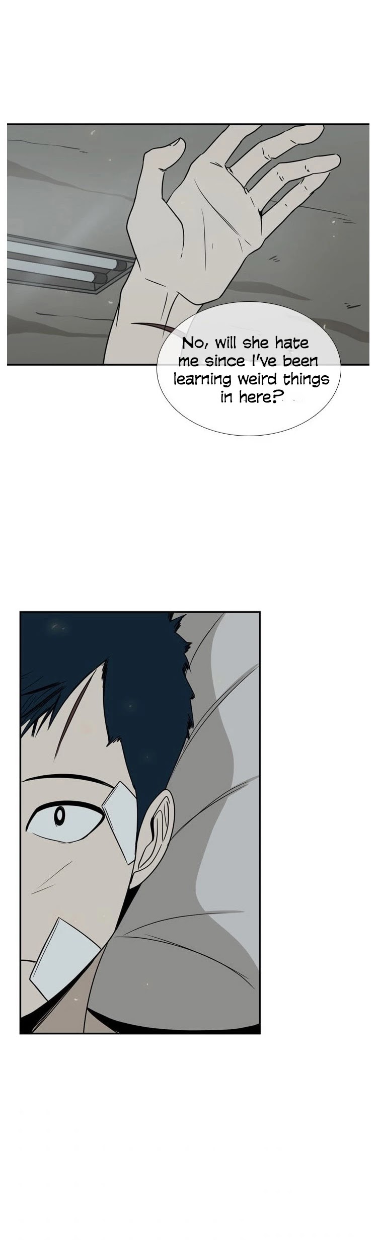 Read Shark EN Manga Online