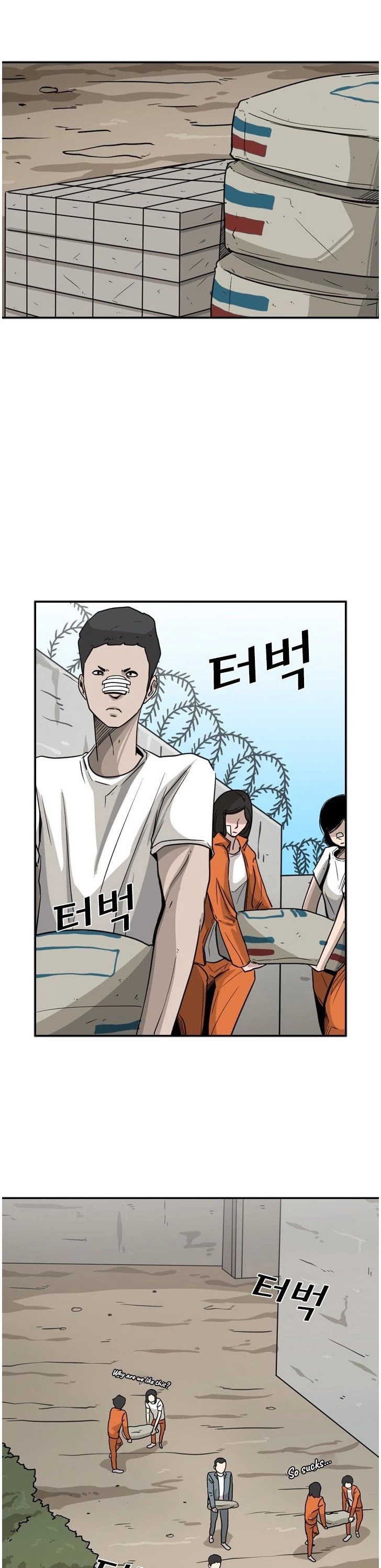 Read Shark EN Manga Online